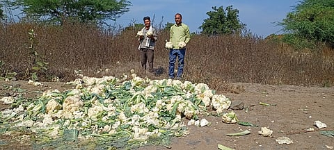 farmer flower market