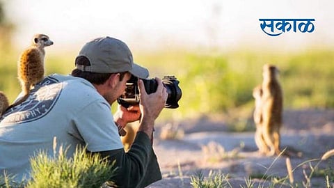 Wildlife Photography