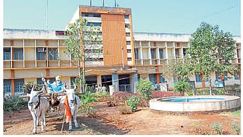 the export of sweet potato decreased due to delhi farmers protest effect on belgaum market