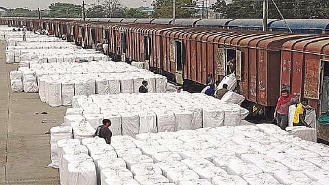 bhusawal onion export.jpg