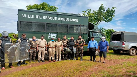 saturday attacked leapord found in ratnagiri rescue force catch a leopard