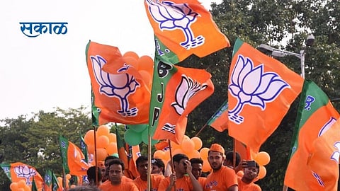 शिरपूर तालुक्यातील ३३ ग्रामपंचायतीवर भाजपचा दावा 