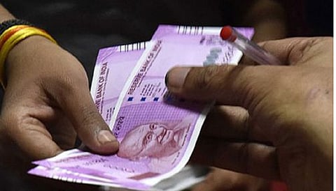 Breeding of lazy fish species in the fisheries department