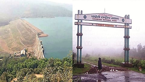 Chandoli  Reservoirs and sanctuaries tourism  closed for three days