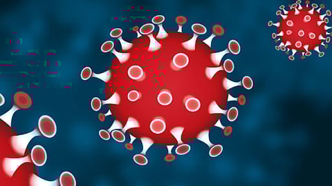 कोरोना चाचण्यांमध्ये जिल्ह्यात निम्म्याने घट; 76 जणांचा मृत्यू 