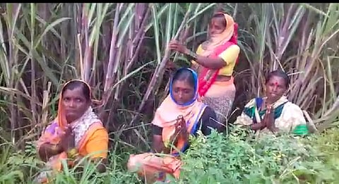 corona songs sung by women farmers in Kolhapur go viral on social media