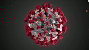 corona