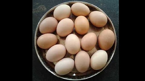 Native eggs 10, poultry eggs 7 rupees; Chicken is expensive