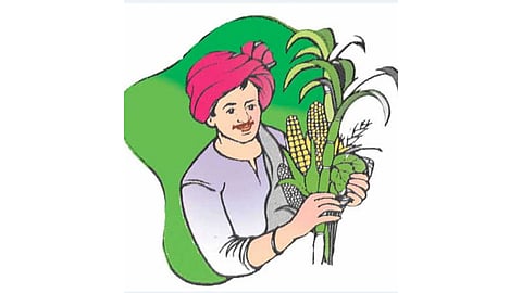 farmer