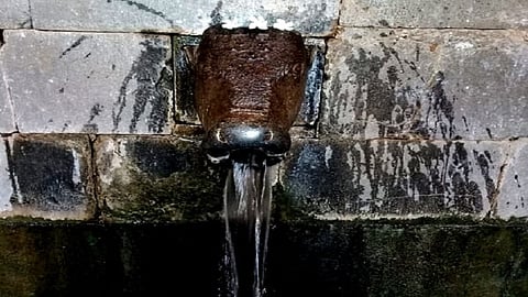 bout 295 days after the arrival of the pilgrimage Gangammai in rajapur  kokan marathi news 