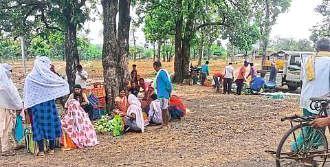 एटापल्ली : गुरुपल्ली गावालगतच्या जंगलात भरलेला आठवडी बाजार.