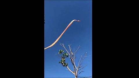 little girl was caught by a kite video viral