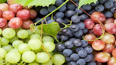 grapes