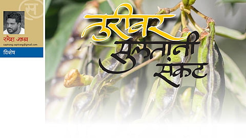 तुरीचे सुलतानी संकट (रमेश जाधव)