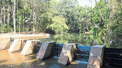 Representation Of The Madhliwadi People Successful Water Plane Kokan Marathi News