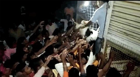 poultry holders felt hunks for free in belgaum