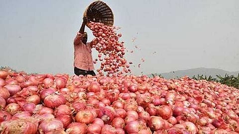 Akola News: Innovative agitation by giving onions to MPs and MLAs 