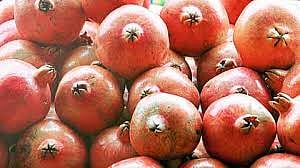 pomegranate.jpg