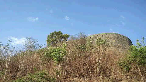 politics from the rajhansgad panel in belgium