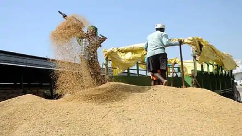 rice millers facing problems in bhandara