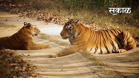 national park