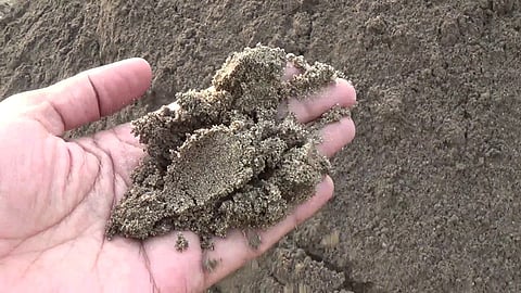 sand