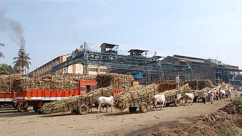 Time To Requests Factories For Sugarcane Kolhapur Marathi News