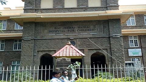 wadia hospital