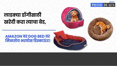 Deals On Dog Bed 
