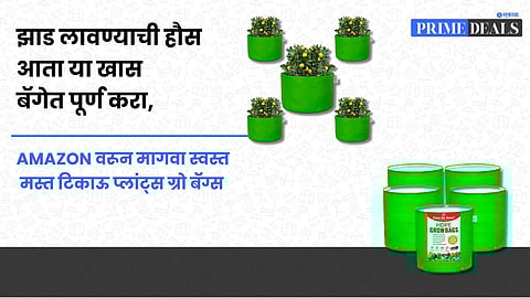 Plant Grow Bags for Terrace Garden