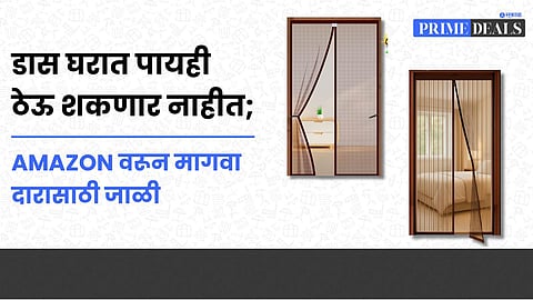 Mosquito Net for Door