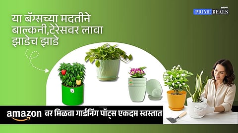 Deals On Gardening Pots