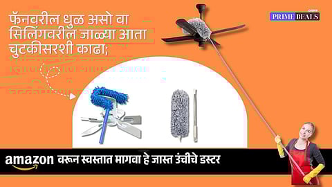 Buy fan duster for home use