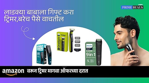 trimmer for father on fathers day