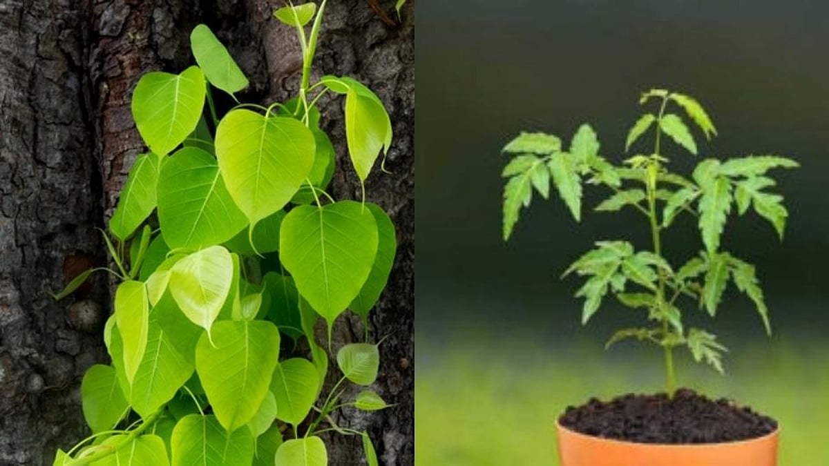 Kika Butovski video jinsiy aloqa Baptistlar jinsiy aloqa qiladimi?