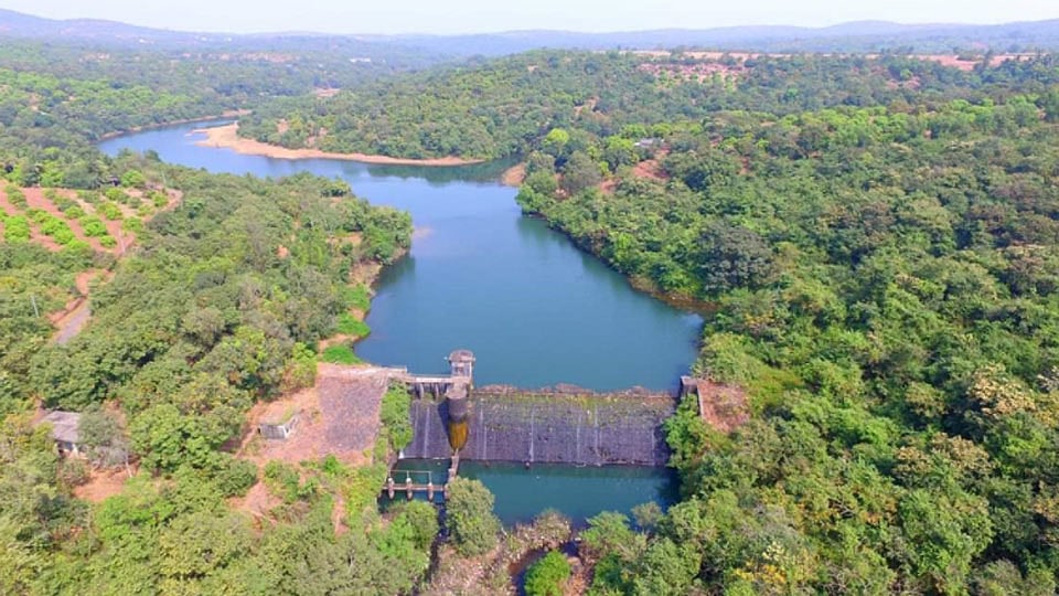 Ratnagiri : पानवल धरणाला ५० टक्के गळती