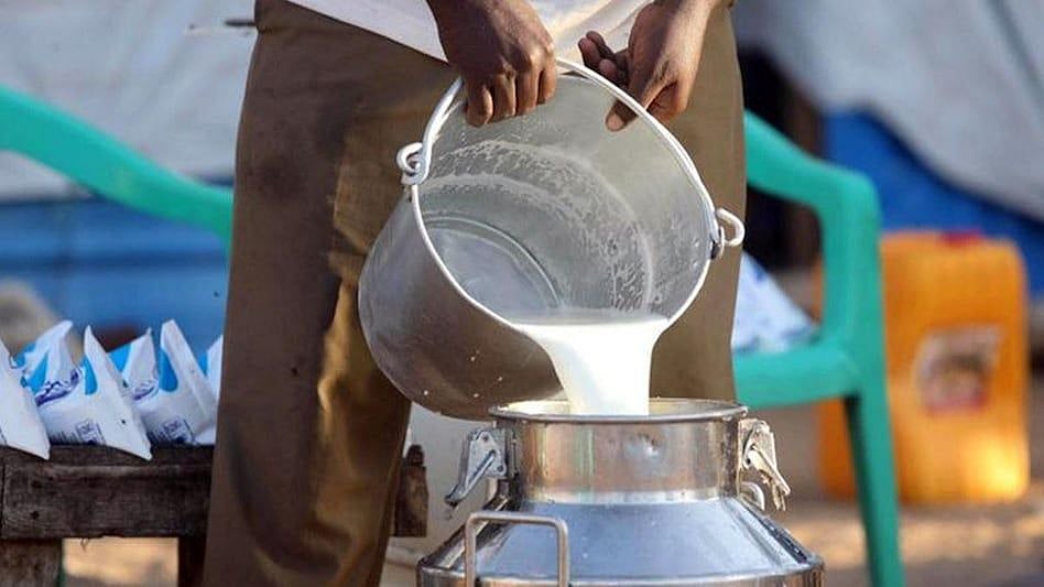 Milk Project : पुणे जिल्ह्यातील ११४ खासगी व सहकारी दूध प्रकल्पापैकी ...