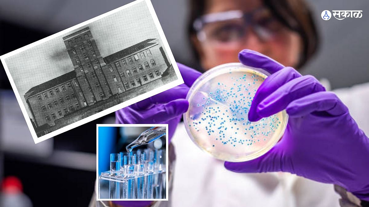 Germs Collection Bacteria Collection : जगातील सर्वात जीवघेणे बॅक्टेरिया आहेत 'या ...