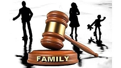 Family Court : वडिलांना भेटणे हा मुलांचा अधिकार कौटुंबिक न्यायालयाचा