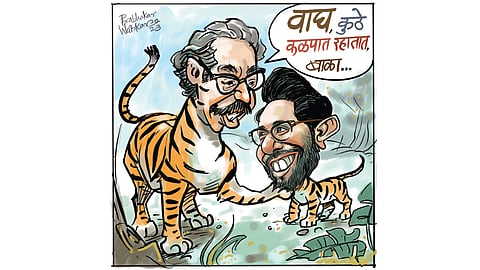 ढिंग टांग : उरतील फक्त दोघे...! (एक आधुनिक जंगलकथा...)