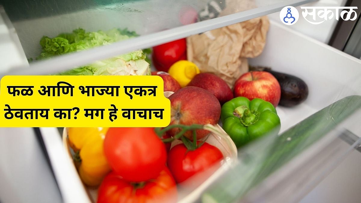 Kitchen Tips Fridge मध्ये ठेऊनही भाज्या खराब कशा होतात? हे घ्या उत्तर..