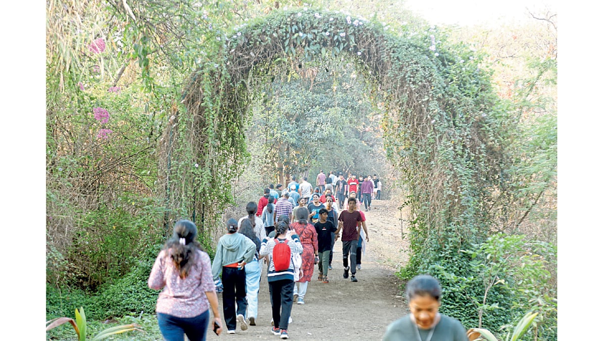 होय, शक्य आहे! तळजाईचे लोकसहभागातून संवर्धनाचे उत्तम उदाहरण