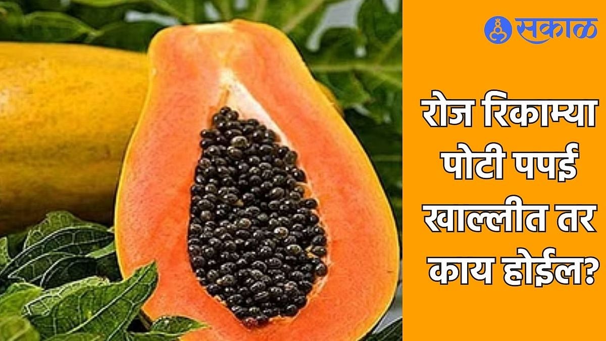 Papaya Health Benefits रोज रिकाम्या पोटी पपई खाल्लीत तर काय होईल