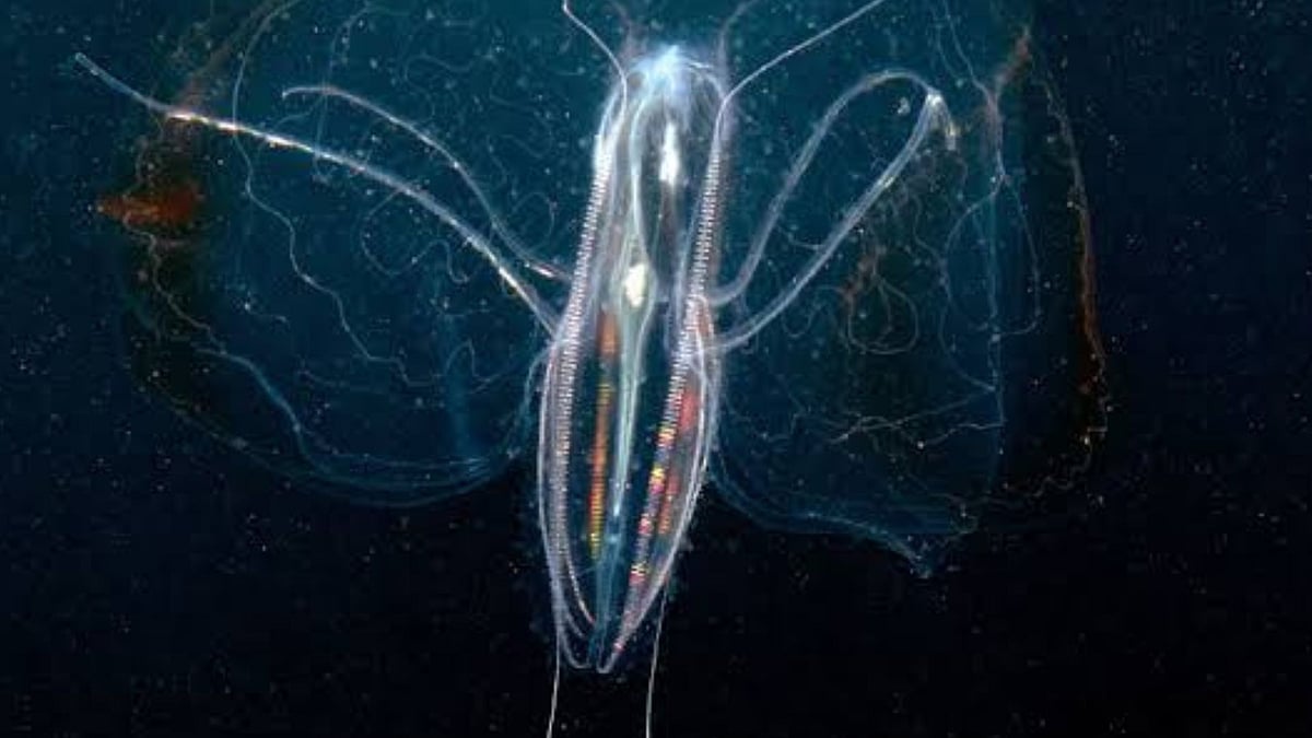 Oldest Living Creature : पृथ्वीवर तयार झालेला हा पहिला जीव आहे आजही ...