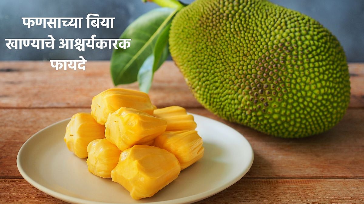 Jackfruit Seed फणसाच्या बिया खाण्याचे आश्चर्यकारक फायदे, वाचा