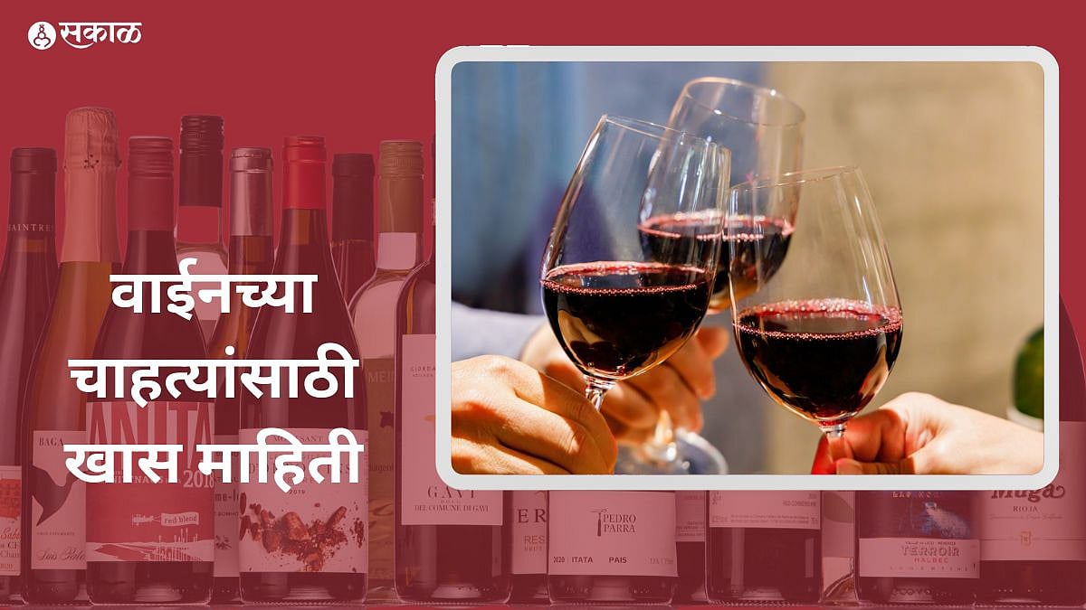 Akhad Special Wine Fact फ्रिजरमध्ये ठेवूनही वाईन कधी गोठत नाही; का