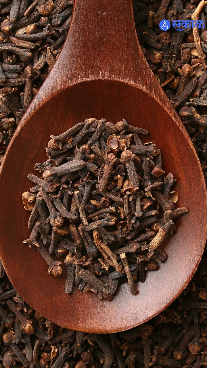 रात्री केवळ दोन लवंग खा आणि जाणून घ्या शरीराला मिळणारे फायदे l health tips what are the health
