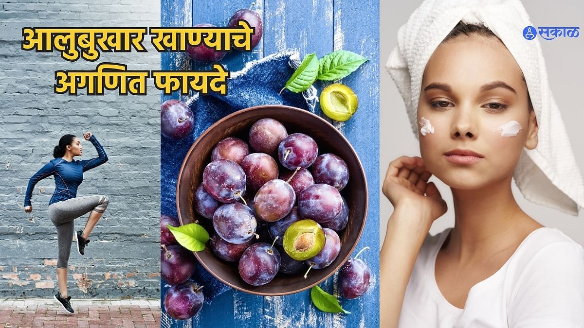 Plums Benefits आलुबुखारच्या सेवनामुळे त्वचेपासून ते हाडांपर्यंत