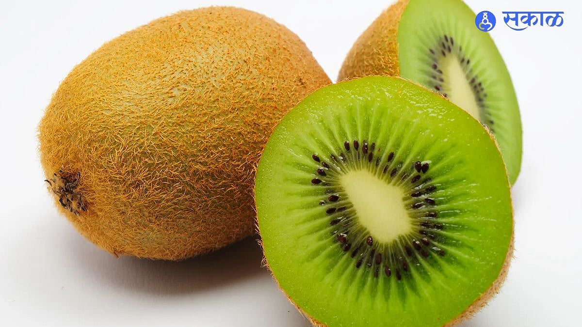Kiwi Fruit Benefits डेंग्यू झालेल्या व्यक्तीला किवी खायला का द्यावे