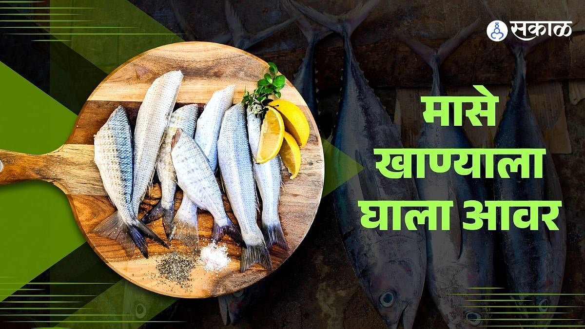 Marathi Fish Eating Habits- रोज मच्छीवर ताव मारताय? जास्त Fish खाल्ल्याने फायदे ...